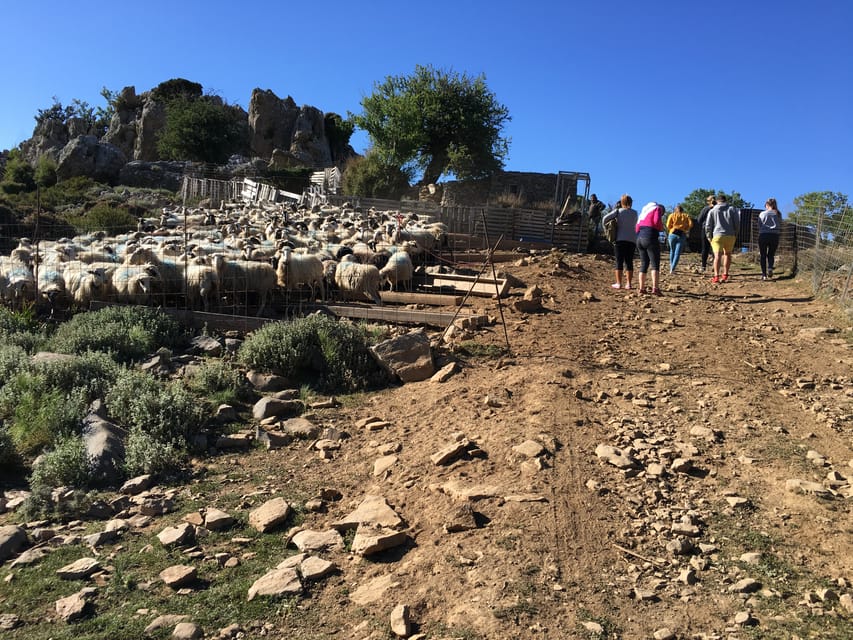 Crete: White Mountains Preserve Day Tour - Therisos Gorge on the return: beautiful views, different angles