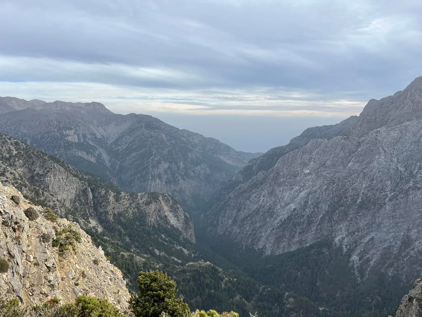 Crete: White Mountains Preserve Day Tour - Nteres/Deres coffee break: oranges, avocado farms, and first mountain light