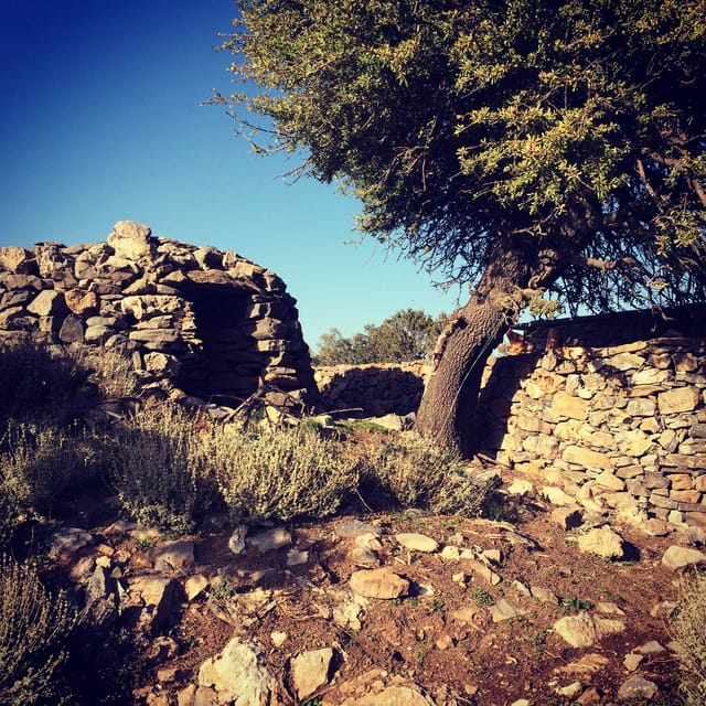Crete: White Mountains Preserve Day Tour - Pickup timing in Chania area, and how the day starts