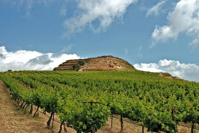 Crete Wine and Olive Oil Tour - Quick hits