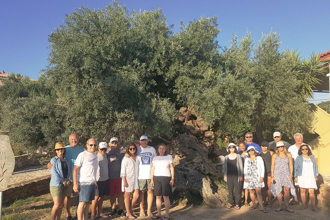 Crete Wine and Olive Oil Tour - Wine and Olive Oil Balance: What You’ll Actually Be Eating and Drinking