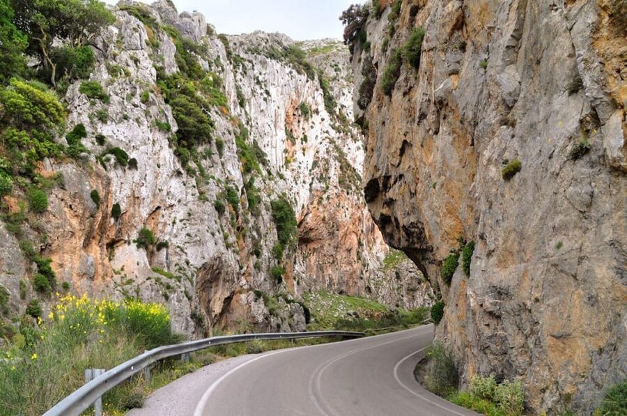 Day Boat Trip: Preveli-Triopetra- Agios Pavlos from Rethymno - Price and Value: Is $106 Per Person Fair for This Day?