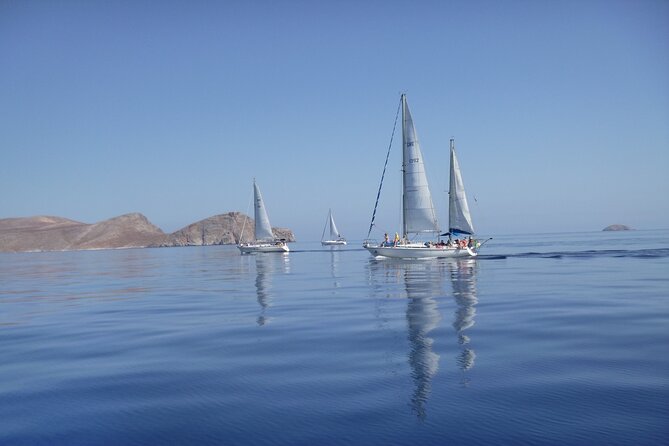 Dia island : Small Group Sailing Trip to Dia Island with Lunch - Sailing from Heraklion to Dia: the part most people underestimate