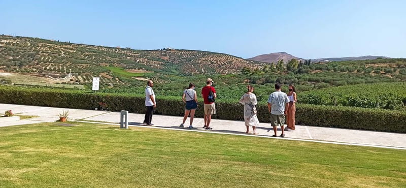 Discover Taste of Crete: Guided Winery Tour and Tastings - Tips to have a smoother, happier tasting day