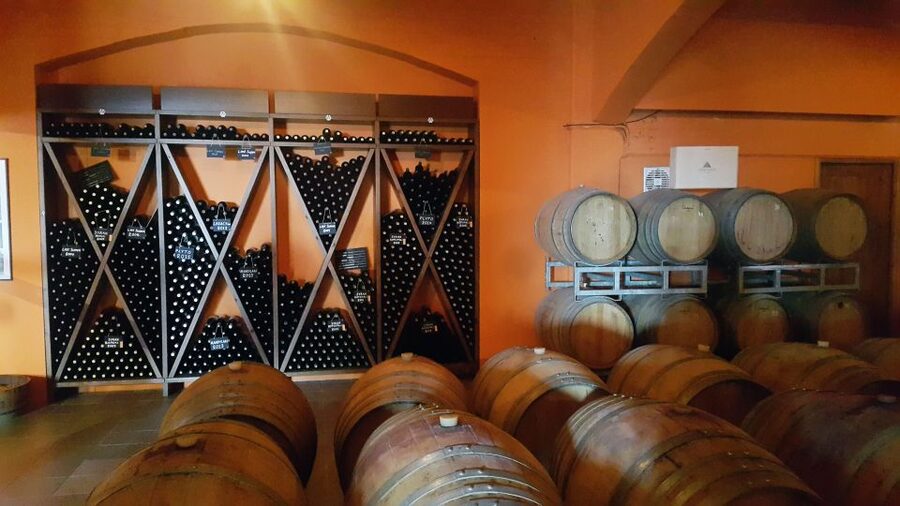 Discover Taste of Crete: Guided Winery Tour and Tastings - The 4-hour pacing, and what to expect from the time crunch