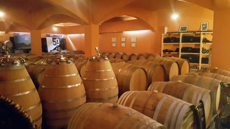 Discover Taste of Crete: Guided Winery Tour and Tastings - Languages, guides, and why the explanations matter