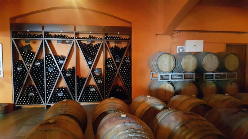 Discover Taste of Crete: Guided Winery Tour and Tastings - Who should book this Cretan winery tour