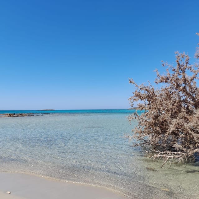Elafonissi: Private Beach Day Trip with SUP - What you get to eat and drink, and what you should plan to buy