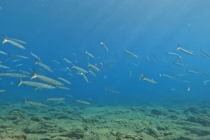 Experience Scuba Diving in Heraklion Crete - What the $119.47 price really includes, and when it feels like a bargain