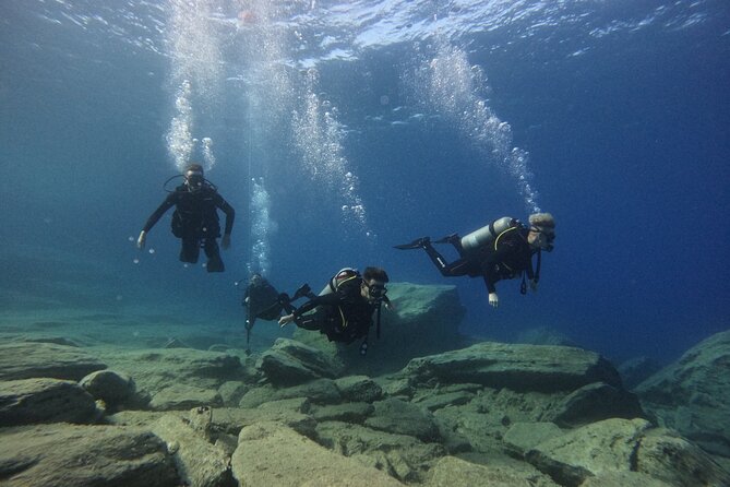 Experience Scuba Diving in Heraklion Crete - Who should book this, and who should choose something else
