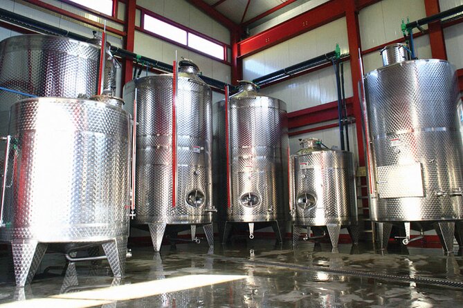 Explore the Secrets of Wine and Olives - Karavitakis Winery: wine tasting with a Crete longevity angle