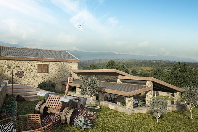 Explore the Secrets of Wine and Olives - Vouves and the 3000-year ancient olive tree: slow down and look