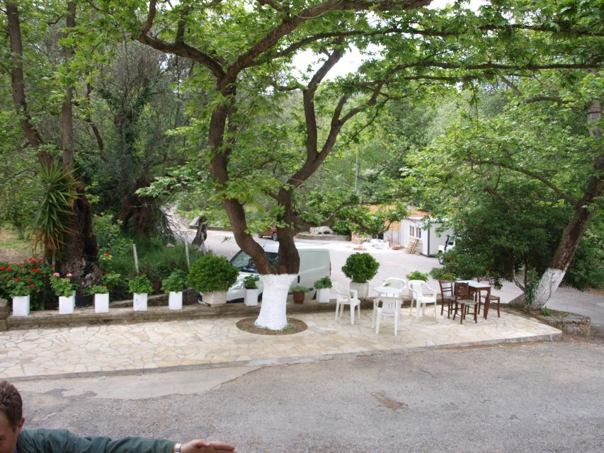 Explore the Secrets of Wine and Olives in Chania - Ano Vouves and the 3000-year-old olive tree stop
