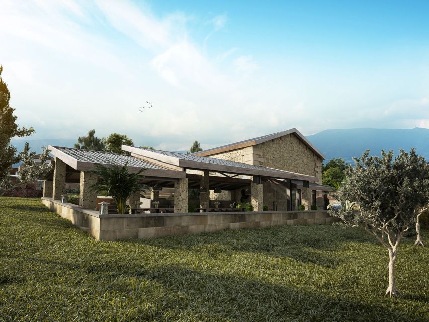 Explore the Secrets of Wine and Olives in Chania - Karavitakis Winery: wine tasting with a Cretan longevity story