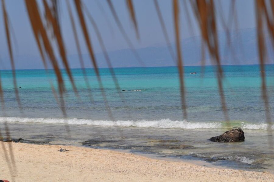 From Chania Area: Day Trip to Elafonisi Island by Bus - Key points before you go