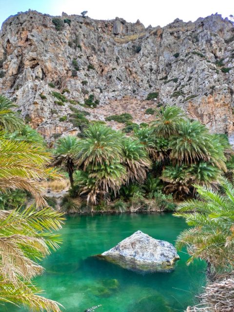 From Chania: Day Trip to Preveli Beach & Damnoni Beach - Why Preveli Palm Beach and the south coast fit into 10 hours
