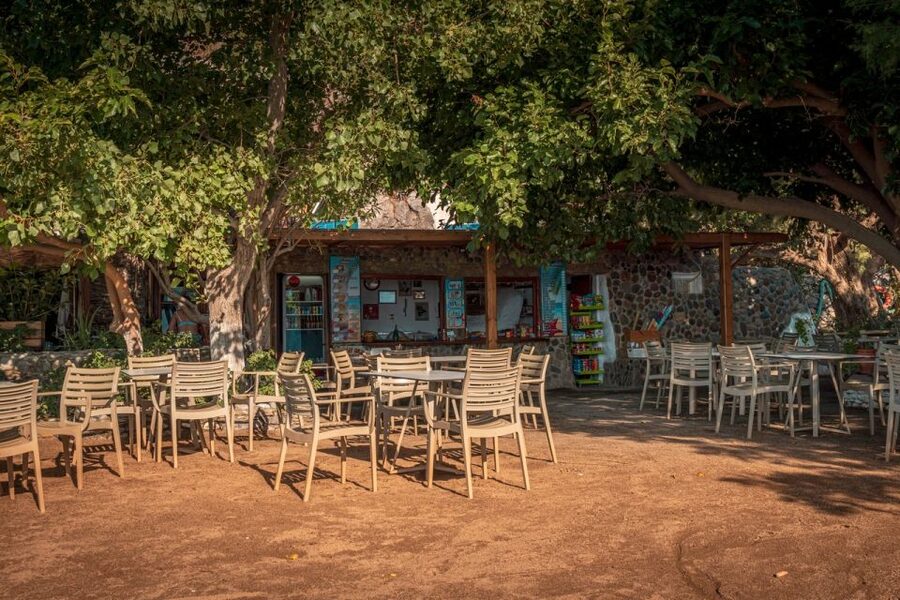 From Chania: Day Trip to Preveli Beach & Damnoni Beach - Pickup from the Chania area, and the schedule rhythm that helps