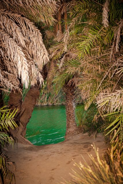 From Chania: Day Trip to Preveli Beach & Damnoni Beach - Who should book this day trip from Chania, and who should skip it