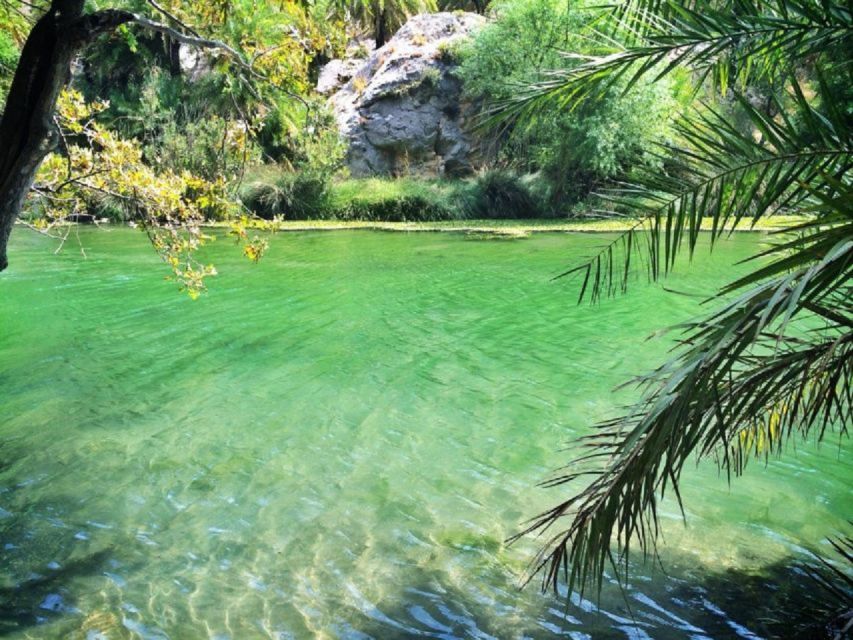 From Chania: Day Trip to Preveli Palm Beach - Kourtaliotiko Gorge: dramatic cliffs, photo stops, and the wind factor