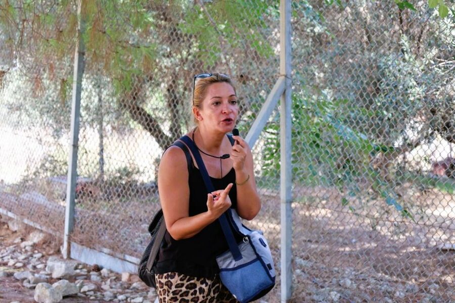 From Chania: Full-Day Heraklion Highlights Guided Tour - Heraklion town walk: the real payoff after the ruins