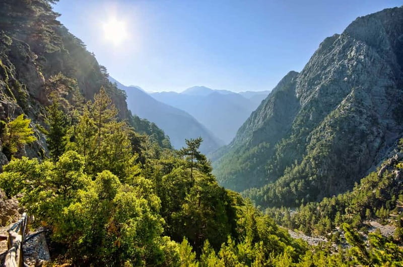 From Chania: Full-Day Samaria Gorge Trek Excursion & Guide - Difficulty level in plain words: boots, poles, and the downhill truth