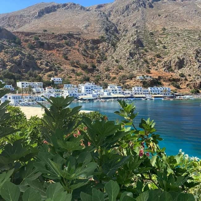 From Chania: Guided Tour to Loutro (Boat tickets Included) - Sfakia Port and The Private Boat Ride: The Part That Makes the Day