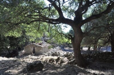 Imbros Gorge Guided Hike and Village Visit