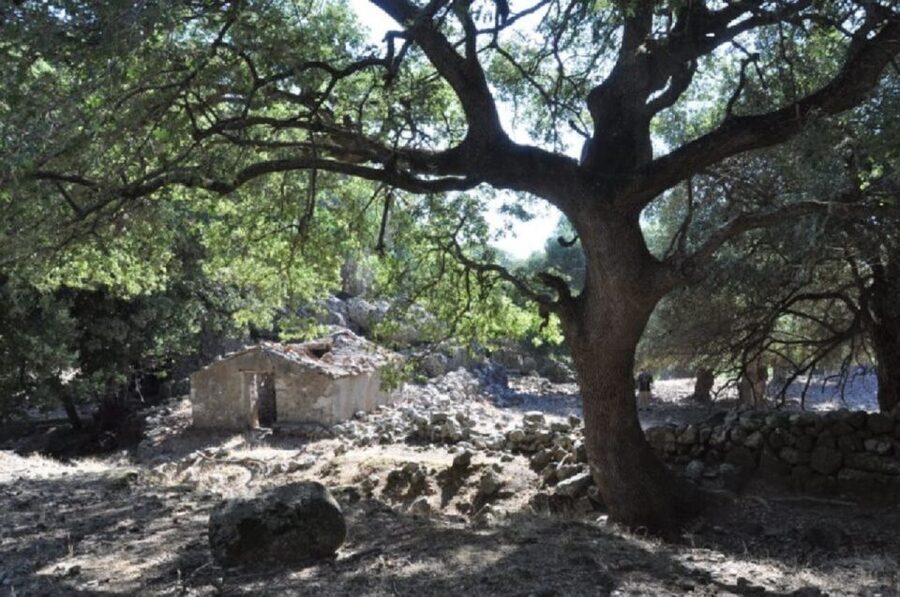 From Chania: Imbros Gorge Guided Hike and Village Visit - First steps at the trailhead: breakfast, toilets, and the rocky reality