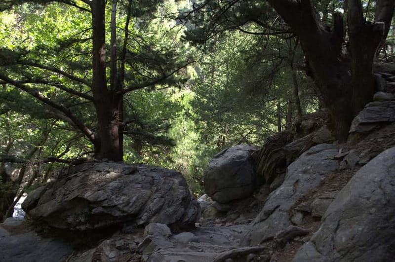 From Chania/Kalyves: Full-Day Samaria Gorge Hiking Day Trip - Price and value: what you pay, what you still add