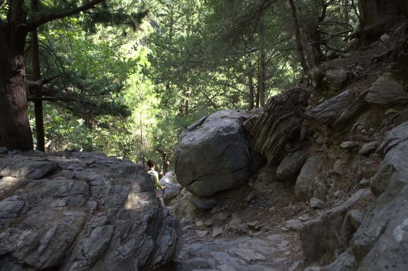From Chania/Kalyves: Full-Day Samaria Gorge Hiking Day Trip - Walking the gorge: pace, terrain, and why “not strenuous” can still hurt