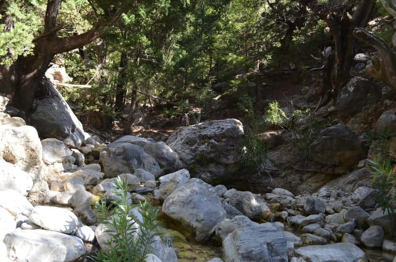 From Chania/Kalyves: Full-Day Samaria Gorge Hiking Day Trip - Guides make the difference: Pari and Dafne style