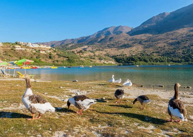 From Chania: Lake Kournas & Argiroupoli Springs Guided Tour - Ancient Lappa village walk: views, small sites, and a gentle way to get oriented