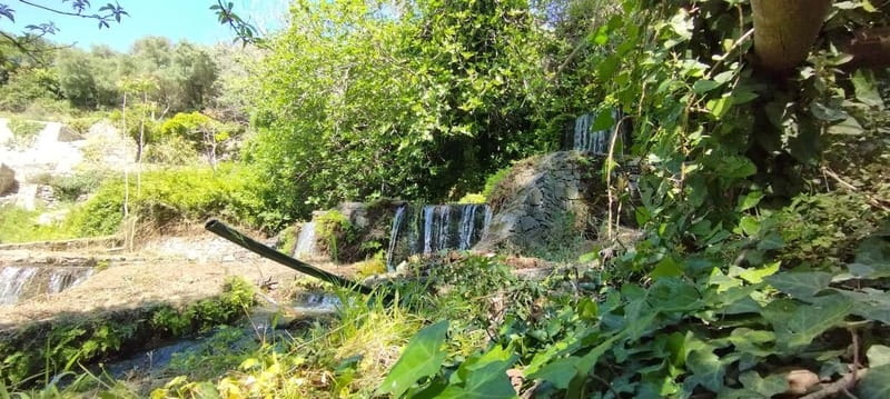 From Chania: Lake Kournas & Argiroupoli Springs Guided Tour - Vrysses and Georgioupoli: two ways to end the day near water