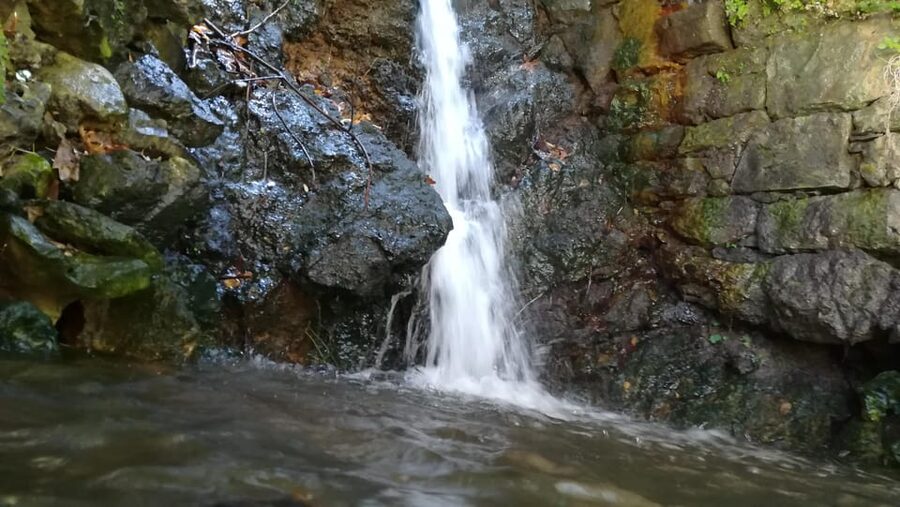 From Chania: Lake Kournas & Argiroupoli Springs Guided Tour - What to bring for Lake Kournas and the springs day