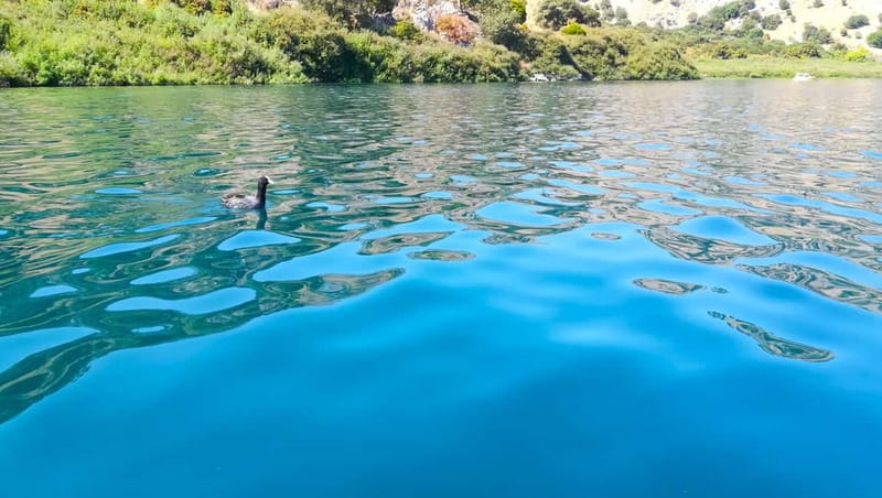 From Chania: Lake Kournas & Argiroupoli Springs Guided Tour - Lake Kournas: your best swim break and the easiest place to unwind