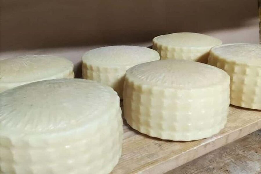 From Chania: Olive Oil, Wine, Cheese & Honey Tasting Tour - Cheese factory plus a hands-on cooking moment