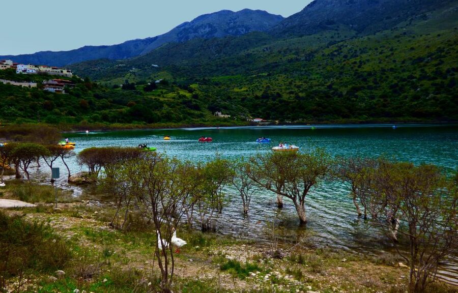 From Chania: Rethymno, Lake Kournas & Olive Oil Tasting Tour - Booking Fit: Who This Tour Will Suit Best
