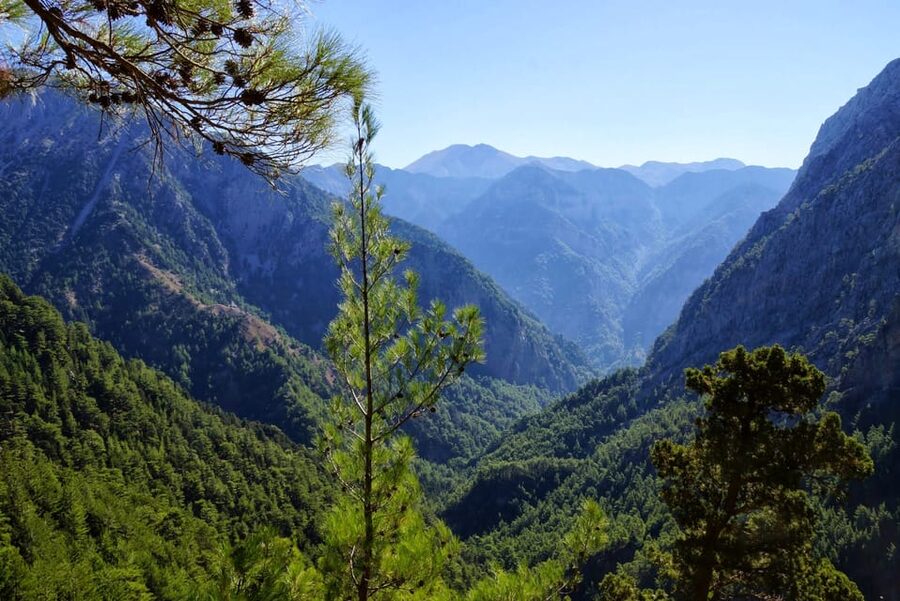 From Chania/Rethymno: Samaria Gorge Easy Way - Quick take: what makes this easy Samaria day worth it