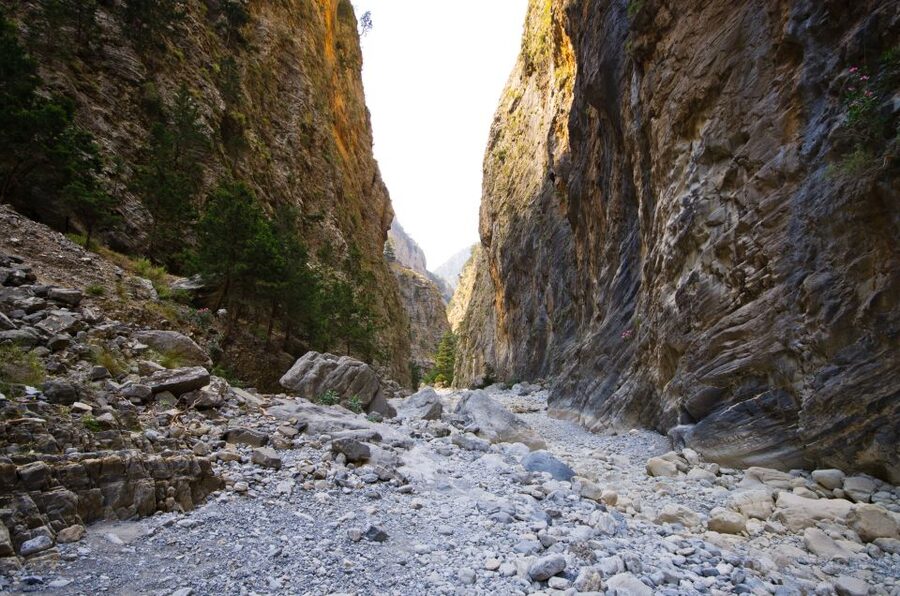 From Chania/Rethymno: Samariá Gorge Guided Hike with Pickup - Inside the Gorge: Springs, Cretan Wild Goats, and the Iron Gates Moment