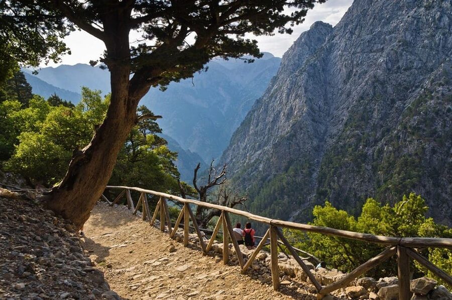 From Chania: Samaria Gorge with Professional Hiking Guide - Entering Samaria National Park: Iron Gates, Pines, Springs, and Kri-Kri Country