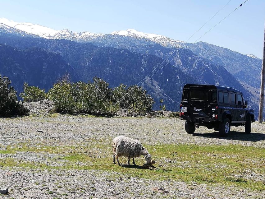 From Chania: White Mountains Land Rover Safari - White Mountains by Land Rover: the real point of this day trip