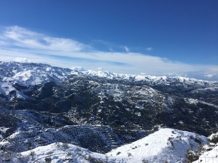 From Chania: White Mountains Land Rover Safari - Coffee or mountain tea, plus wildlife scanning from higher ground