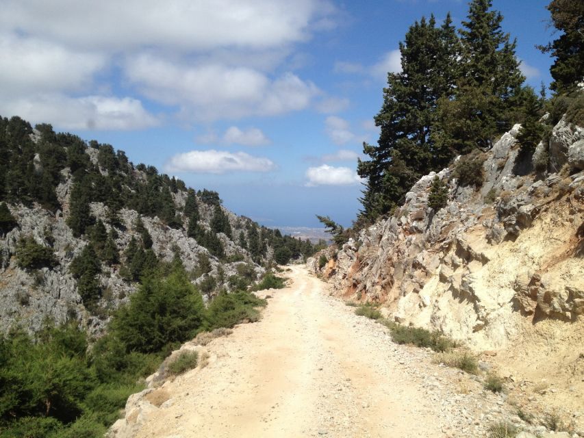 From Chania: White Mountains Land Rover Safari - Lunch at a typical tavern, plus local wine with your meal