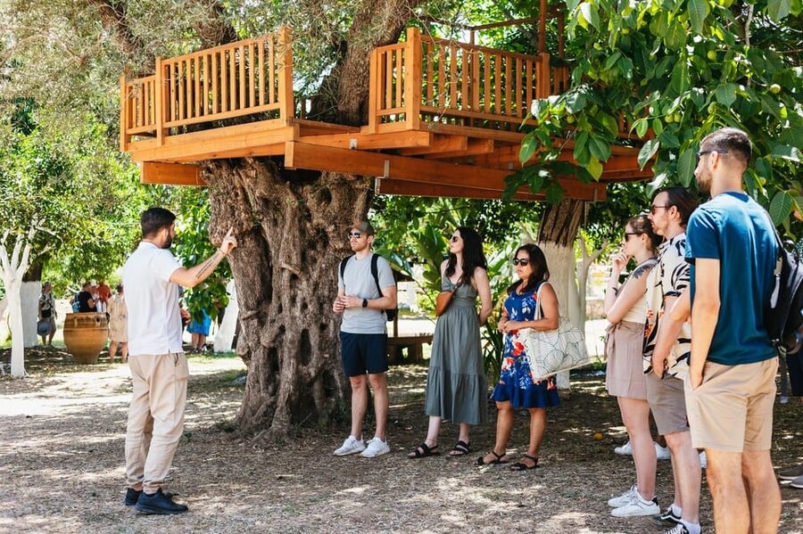 From Chania: Wine and Olive Oil Tasting Tour with Snacks - A Taste of Kissamos From Chania, With the 3,000-Year-Old Olive Tree