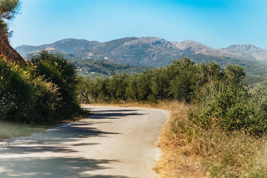 From Chania: Wine and Olive Oil Tasting Tour with Snacks - Food, Snacks, and the Tsikoudia Farewell
