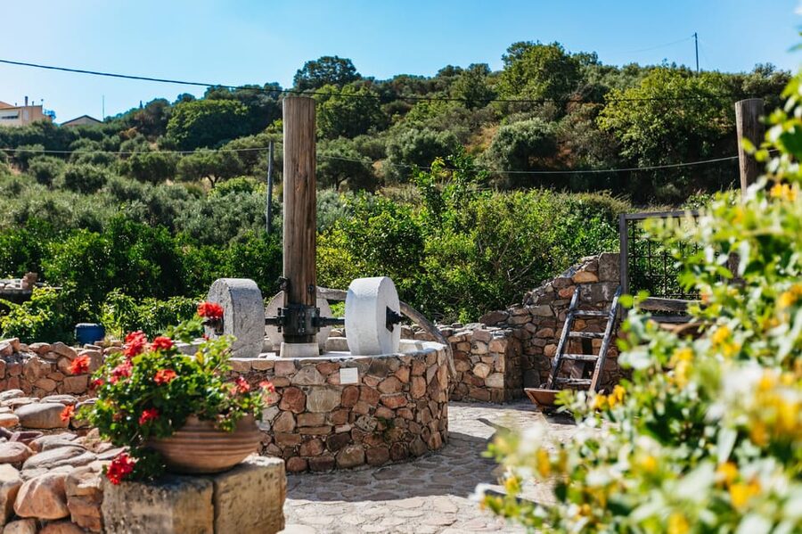 From Chania: Wine and Olive Oil Tasting Tour with Snacks - Price and Value at $141: What You Really Get