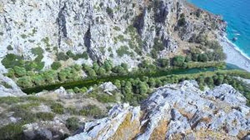 From Herakleion: Day Trip to Preveli Beach and Kourtaliotiko - Who should book this day trip, and who should skip it