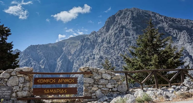 From Heraklion,Agia Pelagia,Malia: Samaria Gorge Guided Trip - The 17 Kilometer Hike: Shade, Slippery Rocks, and Why “Go At Your Pace” Matters