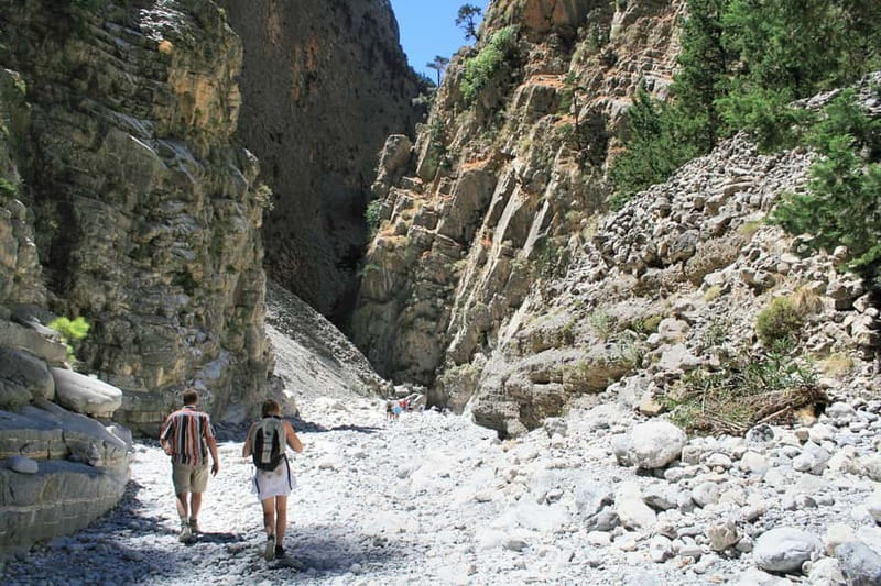 From Heraklion,Agia Pelagia,Malia: Samaria Gorge Guided Trip - Ferry to Sfakia and the Long Bus Ride Back to North Crete