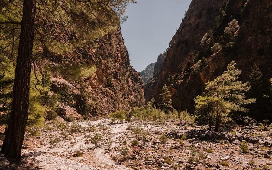 From Panormo or Lavris: Samaria Gorge Hike with Guide - The ferry to Sfakia and the ride back: how the day closes out